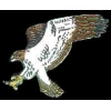 HAWK WITH SWEPT OUT WINGS PIN