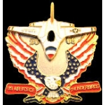 US AIR FORCE THUNDERBIRDS 2009 TEAM PIN