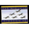 USN NAVY BLUE ANGELS 1995 MIRAMAR SHOW PIN DX