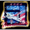 US AIR FORCE THUNDERBIRDS 2004 TEAM LOGO DX