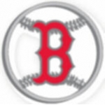 BOSTON RED SOX PIN LOGO CUT OUT PIN