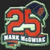 ST LOUIS CARDINALS MARK MCGWIRE HAT AND NUMBER