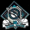 FLORIDA MARLINS DIAMOND BANNER PIN