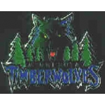 MINNESOTA TIMBERWOLVES TEAM LOGO