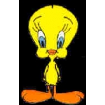 TWEETY BIRD FREEFORM PIN