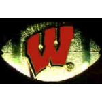 U WISCONSIN BADGERS FOOTBALL PIN