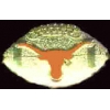 U TEXAS LONGHORNS FOOTBALL PIN