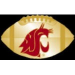 U WASHINGTON STATE COUGARS FOOTBALL PIN