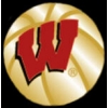 U WISCONSIN BADGERS BASKETBALL PIN