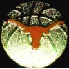 U TEXAS LONGHORNS BASKETBALL LOGO PIN