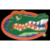 U FLORIDA GATORS PRIMARY LOGO PIN