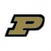 U PURDUE BOILERMAKERS PIN P LOGO PURDUE UNIVERSITY PIN HAT PIN LAPEL PIN