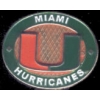 U MIAMI HURRICANES PIN WINNING OVAL UNIVERSITY OF MIAMI PIN