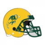 U NORTH DAKOTA STATE BISON FOOTBALL HELMET PIN NORTH DAKOTA STATE UNIVERSITY PIN