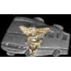 GUARDIAN ANGEL MOTOR HOME PIN