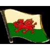 WALES PIN COUNTRY FLAG PIN