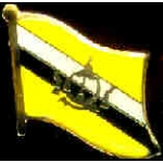 BRUNEI PIN COUNTRY FLAG PIN