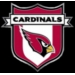 ARIZONA CARDINALS PIN CREST EXEC PIN