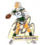 GREEN BAY PACKERS AARON RODGERS PLAYER SIGNATURE PIN