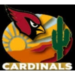 ARIZONA CARDINALS CITY PIN