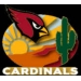 ARIZONA CARDINALS CITY PIN