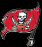 TAMPA BAY BUCCANEERS FLAG LOGO PIN