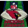 Arizona Cardinals Football Field Pin