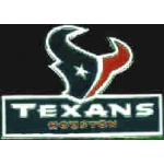 HOUSTON TEXANS TEAM LOGO PIN