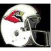 ARIZONA CARDINALS HELMET CAST LARGE