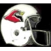 ARIZONA CARDINALS HELMET CAST LARGE