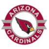 ARIZONA CARDINALS PINS NFL FOOTBALL ROUND LOGO CARDINALS PIN