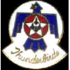 US AIR FORCE THUNDERBIRDS LOGO ROUNDED PIN