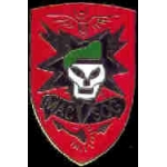 VIETNAM MACV SOG PIN
VIETNAM MAC V SOG PIN