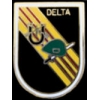 US ARMY DELTA FORCE PIN