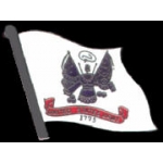 US ARMY FLAG PIN