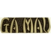 VIETNAM GA MAU SCRIPT PIN