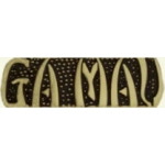 VIETNAM GA MAU SCRIPT PIN