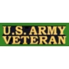 US ARMY PIN VETERAN SCRIPT ARMY VET PINS