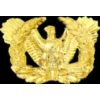 US ARMY WARRANT OFFICER LOGO PIN