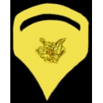 US ARMY SPECIALIST SPEC 5 RANK GOLD PIN