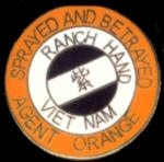 VIETNAM VETERAN PIN AGENT ORANGE SPRAYED AND BETRAYED PIN