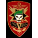 VIETNAM SOG SPECIAL OPERATIONS GROUP PIN