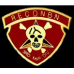 USMC MARINE CORPS 3RD MARINE DIVISION RECON PIN