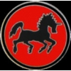 USN NAVY BLACK PONIES LOGO PIN