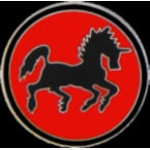 USN NAVY BLACK PONIES LOGO PIN