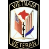 VIETNAM VETERAN FLAGS PIN