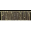 POINTMAN SCRIPT PIN