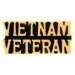 VIETNAM VETERAN SCRIPT PIN