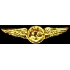 USN NAVY USMC MARINE CORPS AIR CREW MINIWING PIN