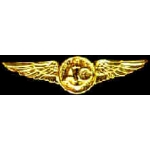 USN NAVY USMC MARINE CORPS AIR CREW MINIWING PIN